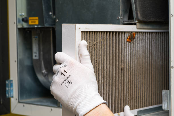 Best Duct Cleaning for Homes  in Canton, TX
